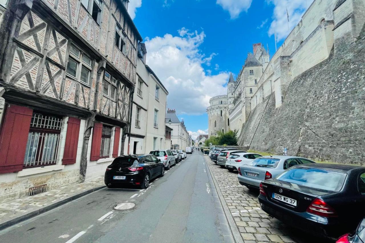 Splendid Apartment At The Foot Of The Castle Of Amboise - View Of The Loir Exterior photo